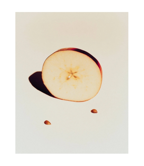 "Apple Tree" smilkalai. Smilkalai