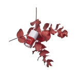 Bacio Nail Polish. Nail Polishes