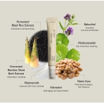 Black Rice Bakuchiol Eye Cream. Korean Eye Care