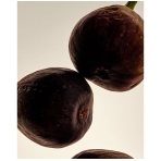 “Cassis“ parfumuotas aliejus. Kūno priežiūra “Cassis“ parfumuotas aliejus. Kūno priežiūra
