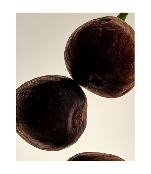 Cassis – Perfume Oil. Body care