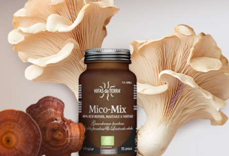 Hifas da Terra Hifas da Terra