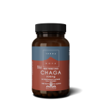 Chaga 500 mg. Grybiena