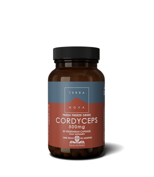 Cordyceps 500 mg (Kordicepso kapsulės). Grybiena