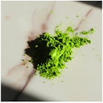 Organic Matcha Contest Grade. Matcha