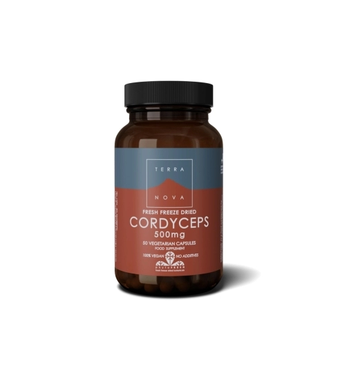 Cordyceps 500 mg (Kordicepso kapsulės). Grybiena