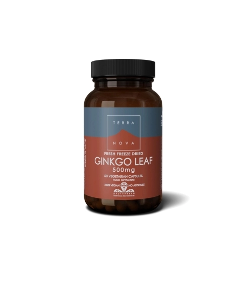 Ginkgo Leaf 500 mg (Ginkmedžio lapų kapsulės). Širdžiai ir kraujotakai
