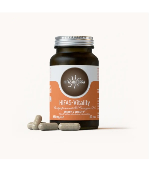 Hifas-Vitality. Mushrooms