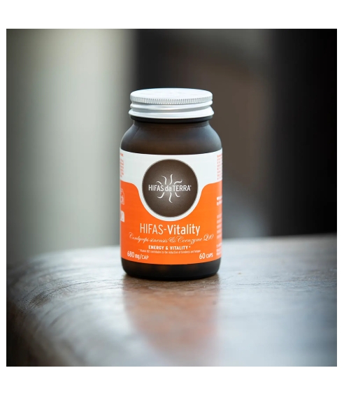 Hifas-Vitality. Mushrooms