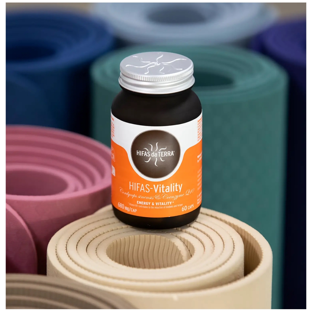 Hifas da Terra Hifas-Vitality. Mushrooms