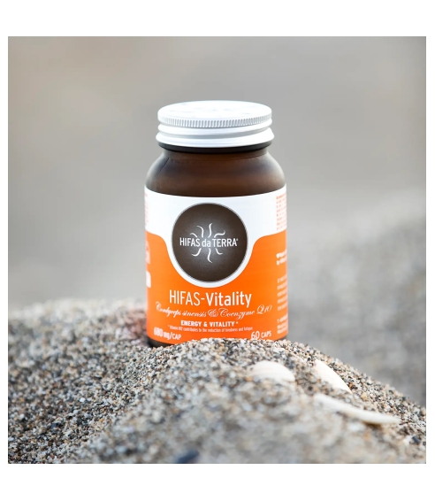 Hifas-Vitality. Mushrooms
