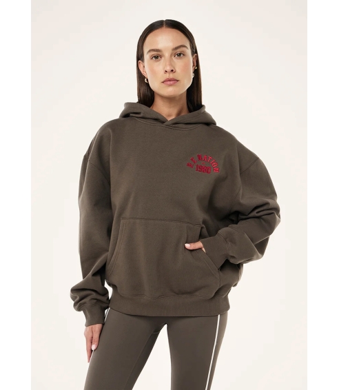 Inbound hoodie in major brown. Jumpers