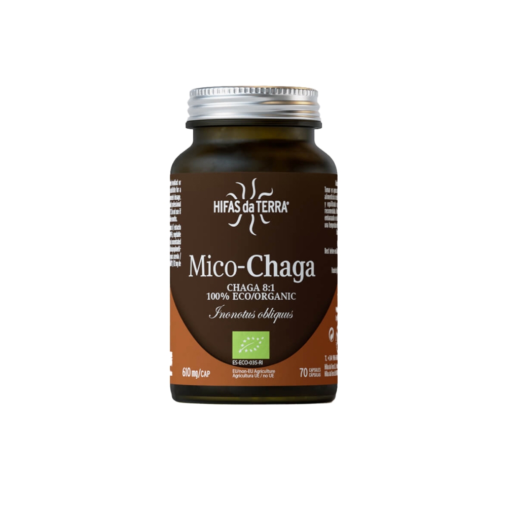 Mico - Chaga. Grybiena