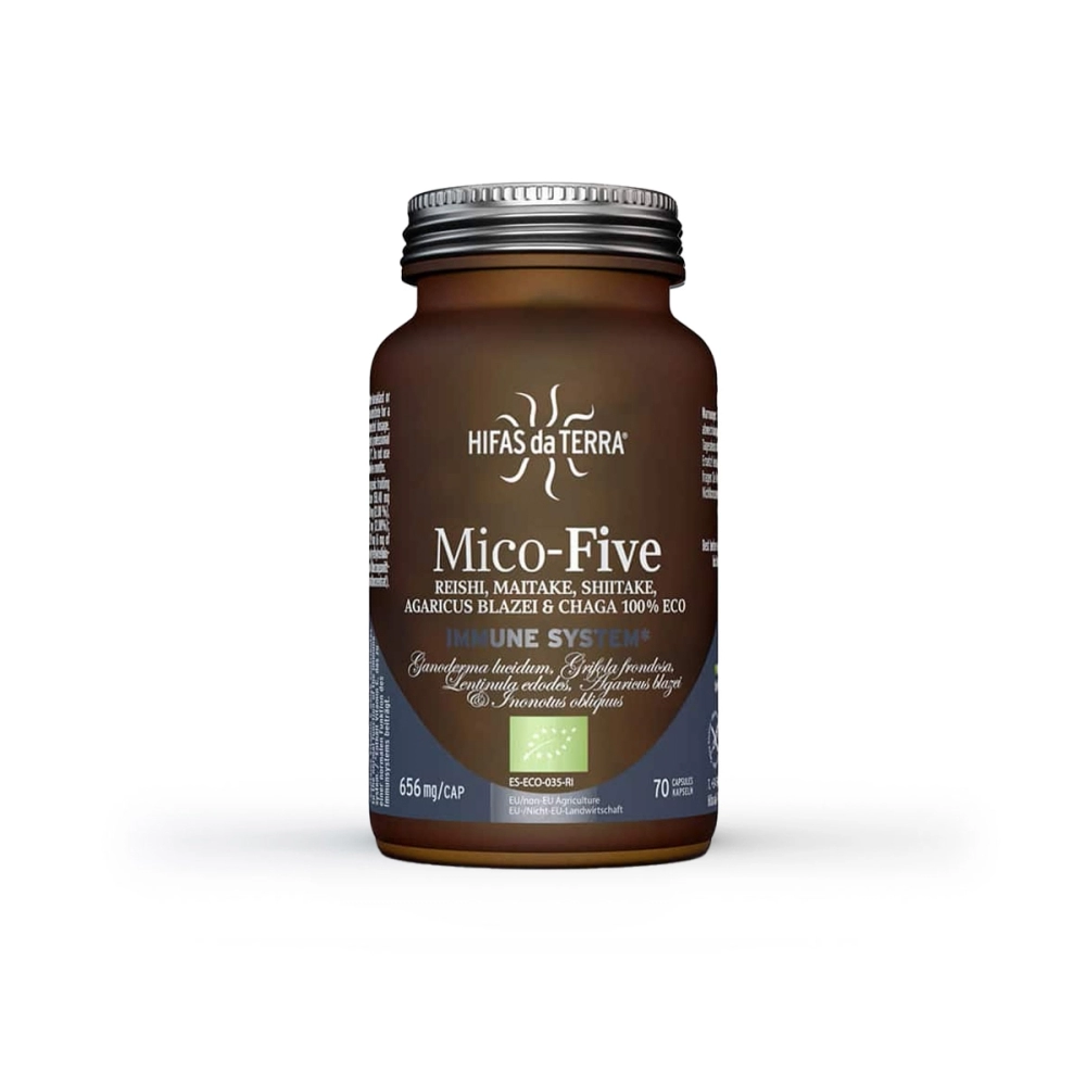 Hifas da Terra Mico Five. Mushrooms