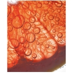 Mineral One. Electrolyte drinks