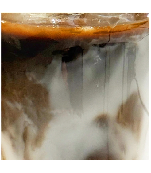 "OG Hojicha" Organic Hojicha Dark Roast. Green Tea