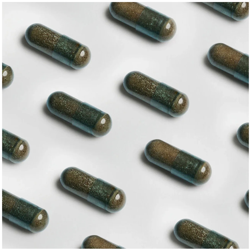 Hifas da Terra Optimum Men. Grybiena