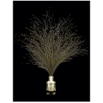 Or Pur Nail Polish. Nail Polishes