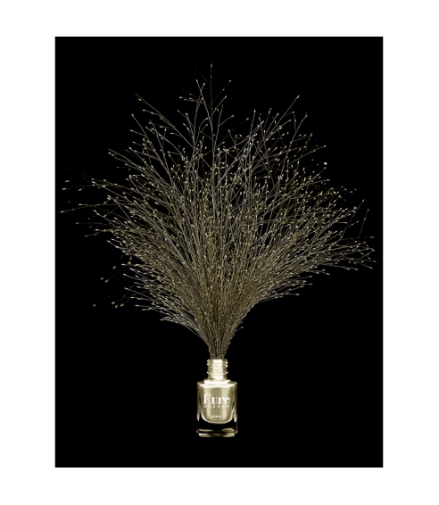 “Or Pur” nagų lakas. Nagų lakai