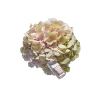 Rose Pearl Nail Polish. Nail Polishes