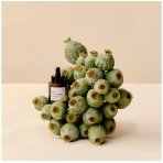 The Evening Glow. Face care