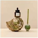 The Evening Glow. Face care