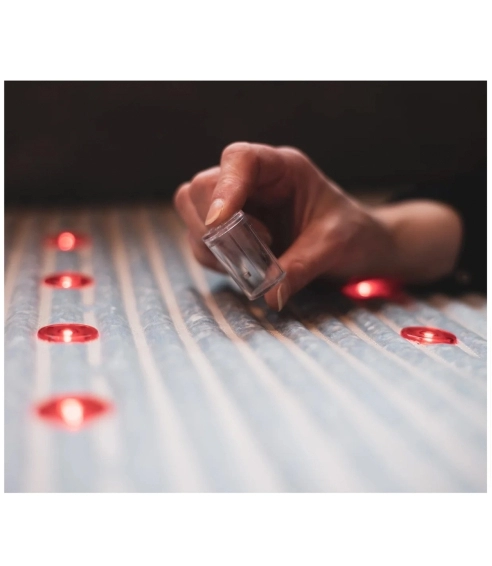 VITORI® Premium Crystal Mat for rent. Body devices